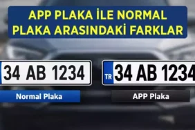 69ab3b37c202702b6e291794