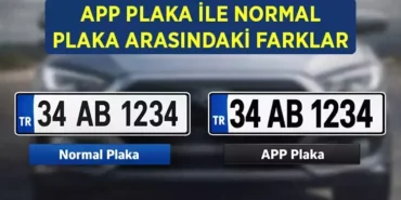 69ab3b37c202702b6e291794
