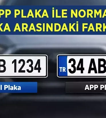 69ab3b37c202702b6e291794